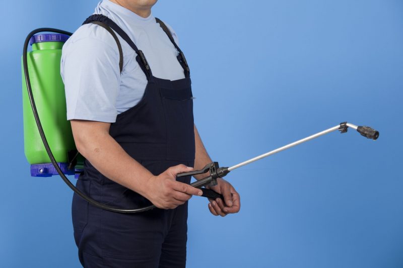 Find Fast, Safe and Reliable Pest Control Services for Your Healthcare Facility