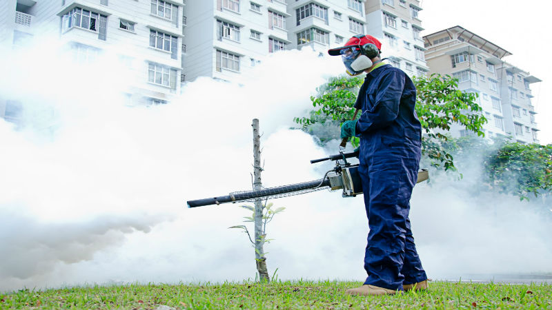 Build Your Own Great Mosquito Control Program in Arlington, VA