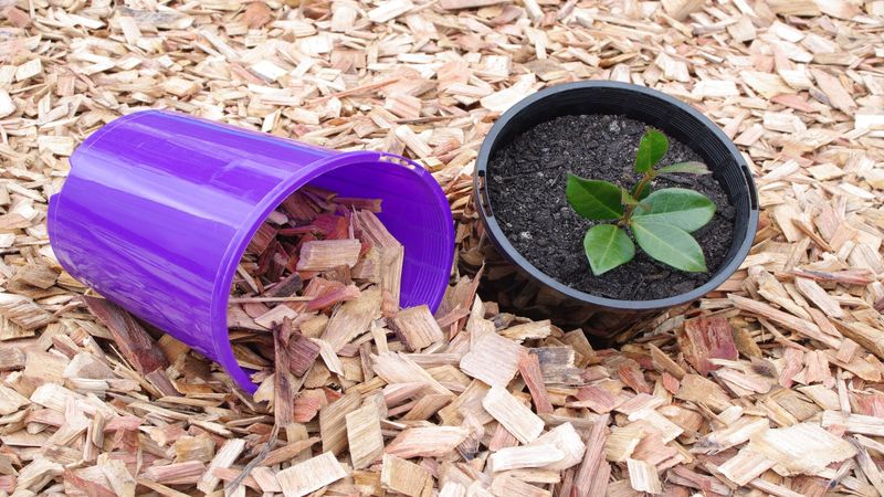 We’re Your Source for On–Site New Jersey Landscaping Materials