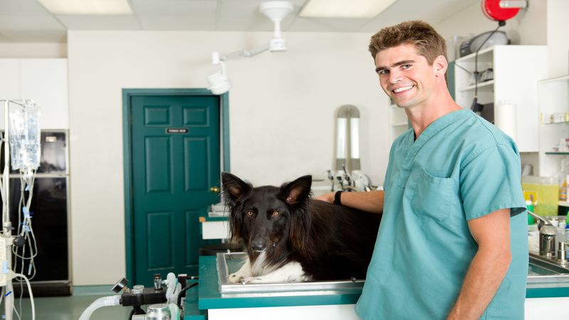 Kick Unwanted Guests Out of Your Home with the Help of Animal Control in Pasadena