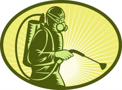 The Importance of Rodent Removal Services in Edina