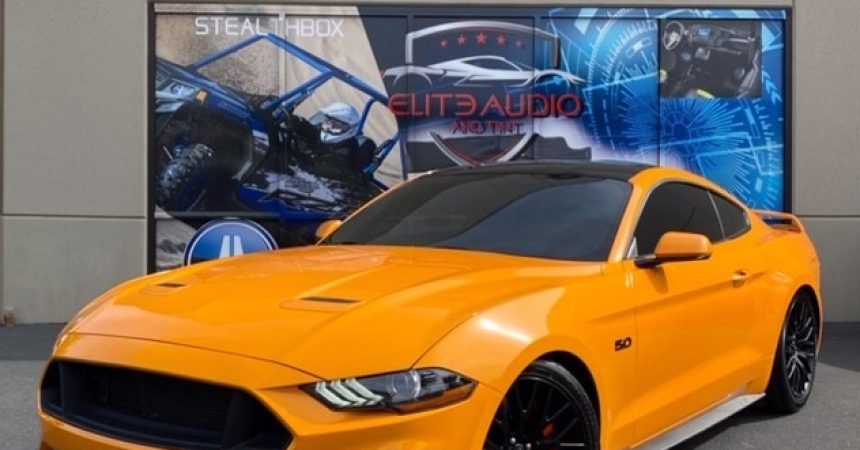 Where to Find 3M Pro Series Paint Protection Film