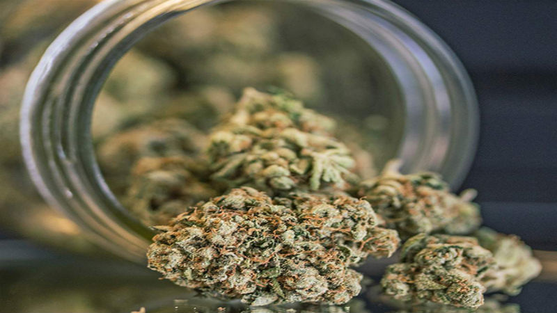 What Are The Surprising Reasons Why Adults Use Cannabis In Worcester?