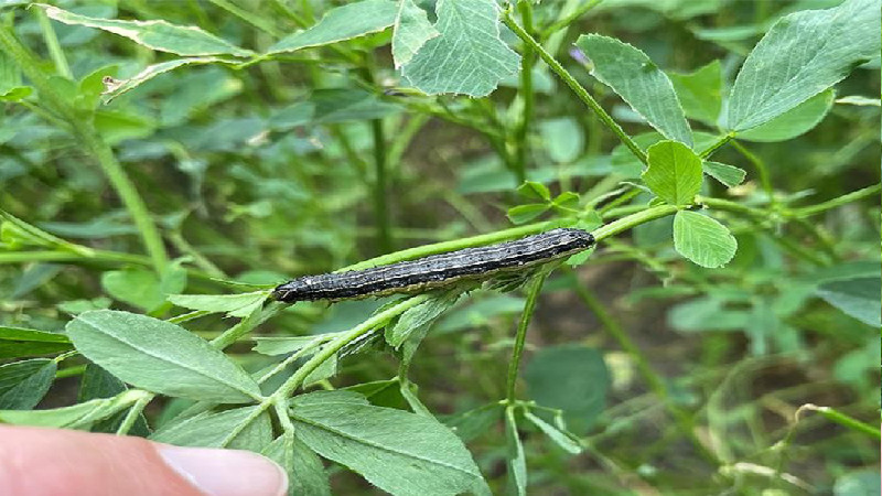 3 Benefits of Using Seed Treatment on the Crops on Your Vernon County Farm