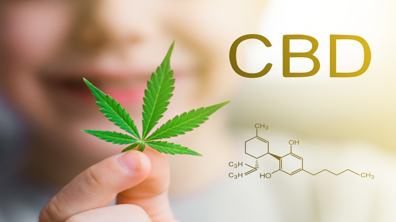 Exploring Cannabis Options Near Great Falls MT: A User Guide