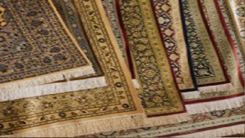 3 Occasions That Fall For Professional Carpet Cleaning in Arvada, CO