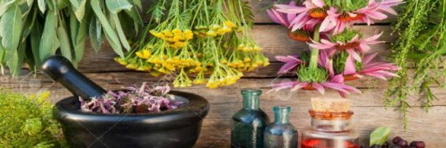 Herbal Tea Tisane In Los Angeles CA – A Spicy Ingredient For Flavor And Health