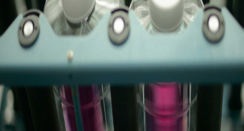 Reliable Cell Line Storage for Your Research
