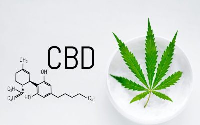 Ultimate Guide to Finding the Best Marijuana in Long Beach