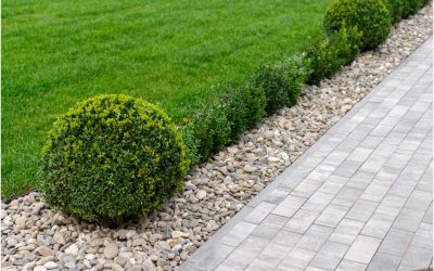 Get a Picture-Perfect Lawn with the Best Landscape Maintenance in Barnstable, MA