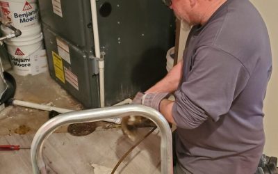 Expert Repair for Leaking Pipe in Littleton CO: Your Trusted Local Solution