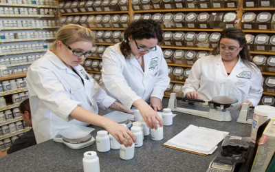 Unlock Career Potential with an Acupuncture Course in the USA