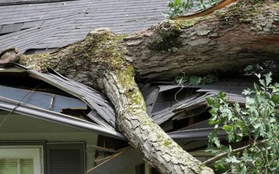 Choosing the Right Gutter Replacement in Denver, CO: A Comprehensive Guide