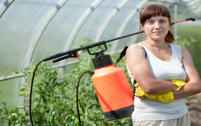 Effective Residential Pest Control in Newnan, GA: Protect Your Home Today