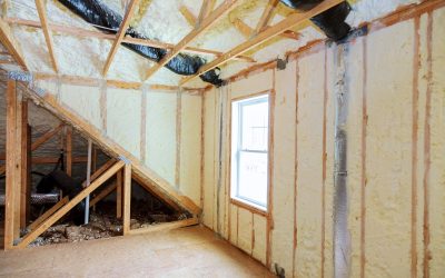 Prevent Costly Damage With Expert Bat Removal From Attic Jackson Township, NJ