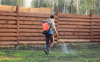 Protect Your Family and Pets with Flea and Tick Lawn Treatment in Clarksville, IN Solutions