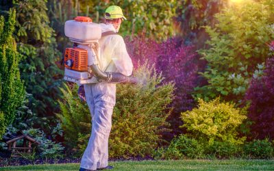 Improve Home Value with Tree and Shrub Service in Charlestown, IN
