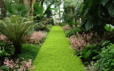 Make Your Dream Garden a Reality with an Expert Landscape Designer Redmond WA