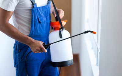 Homeowners benefit from safer spaces with expert Pest Control Services Essex Fells NJ solutions