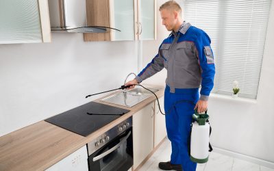 Restore Peace of Mind After an Exterminator Cedar Grove NJ Visits Your Property